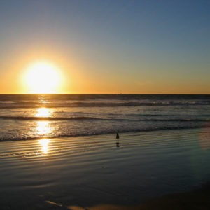 Evelyn Luna - Venice Beach Sunset