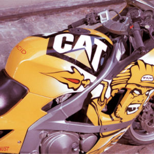 Scott Chester Acid Cat Closeup